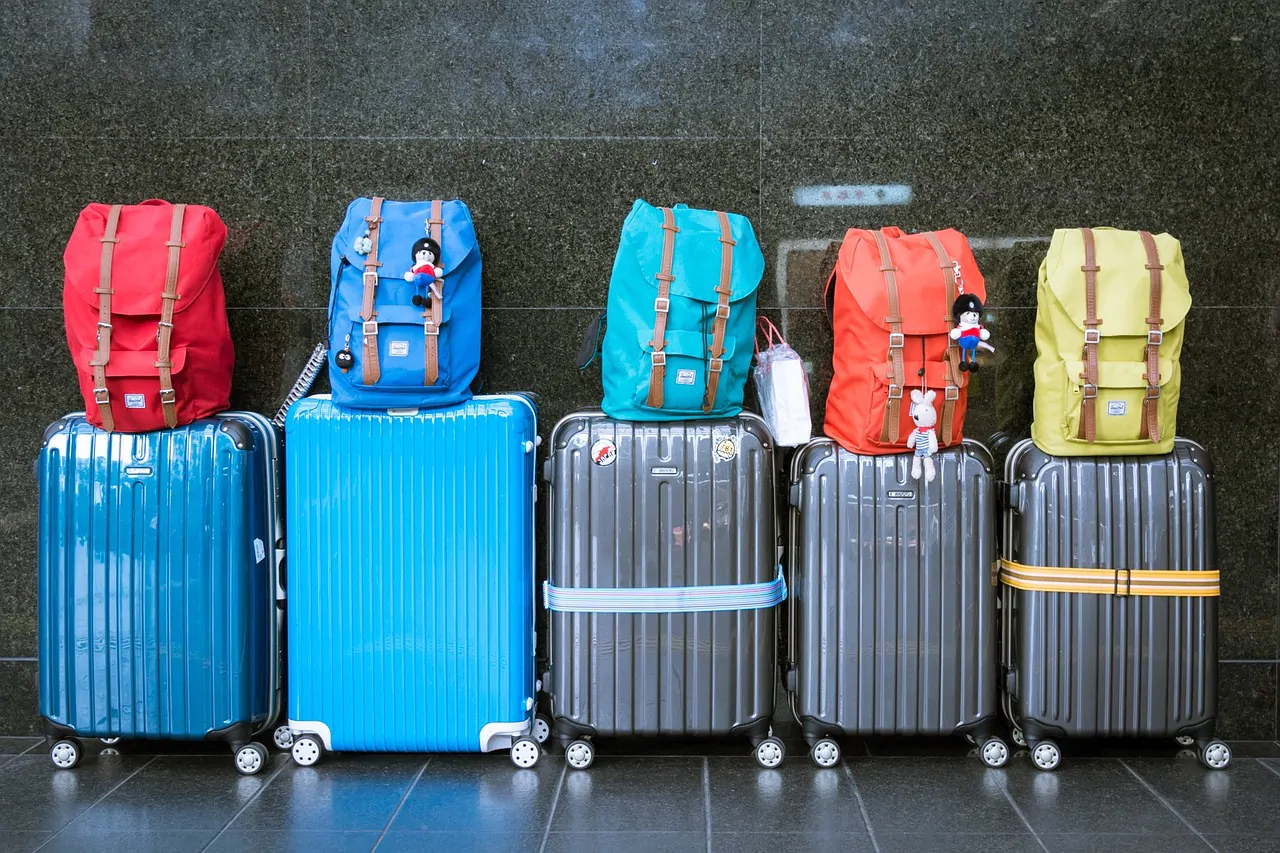 Cinghia per bagagli da viaggio cinture per valigie cintura per borsa da  viaggio telescopica elastica per valigia cintura fissa accessori da viaggio  aereo