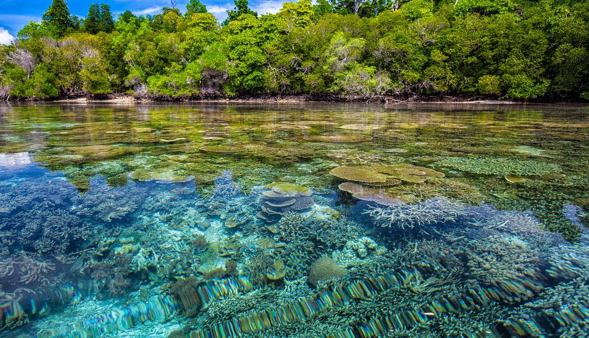 isola di moyo