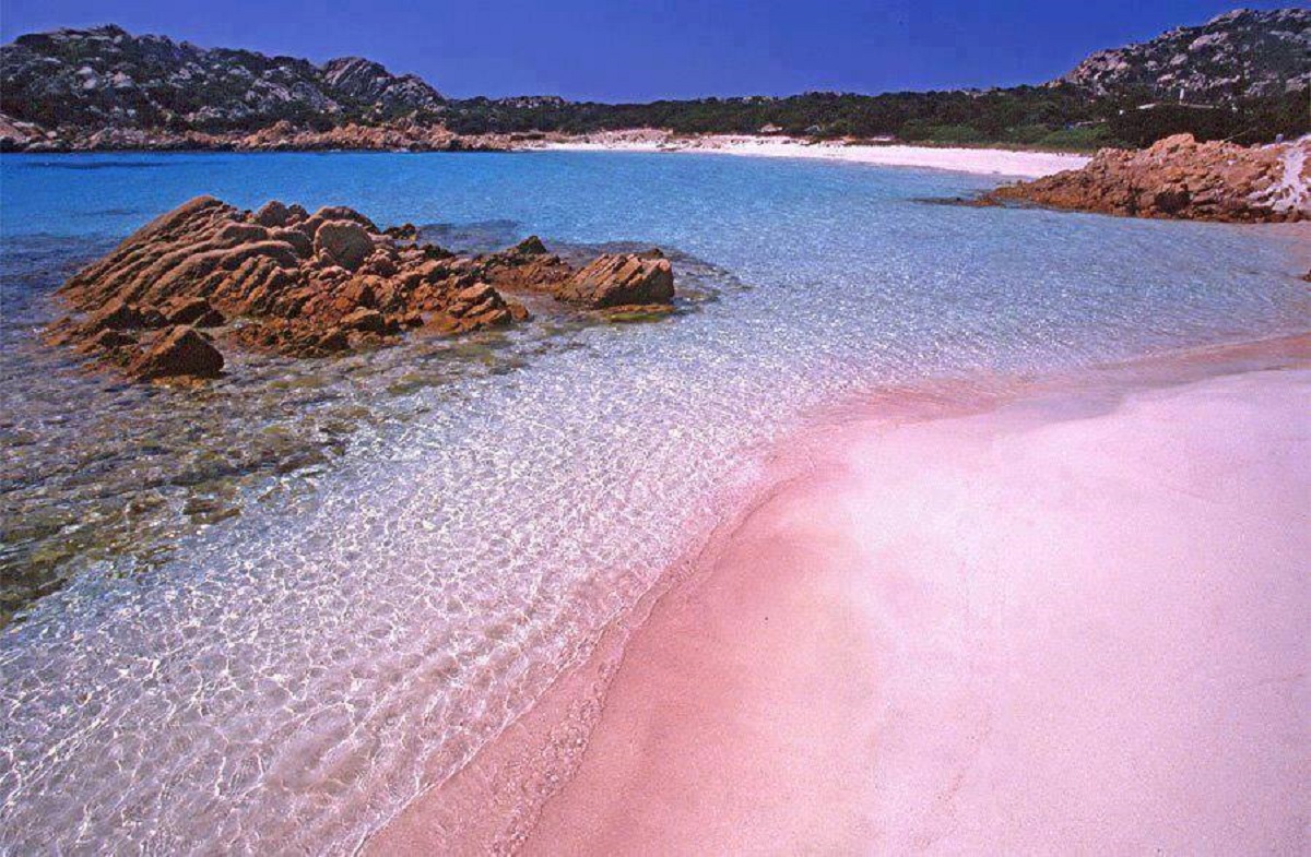 Lisola Di Budelli Ed Il Segreto Della Spiaggia Rosa