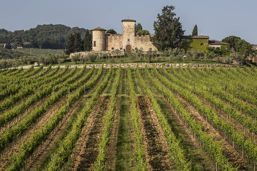 Castello Di Gabbiano