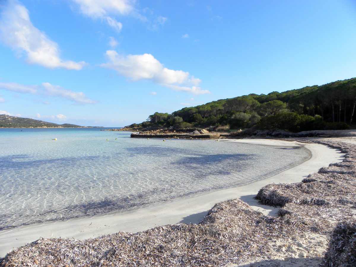 Cala Brandinchi