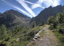 val di fiemme escursioni facili