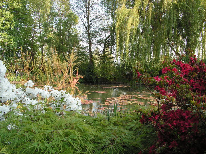 Giardino Monet