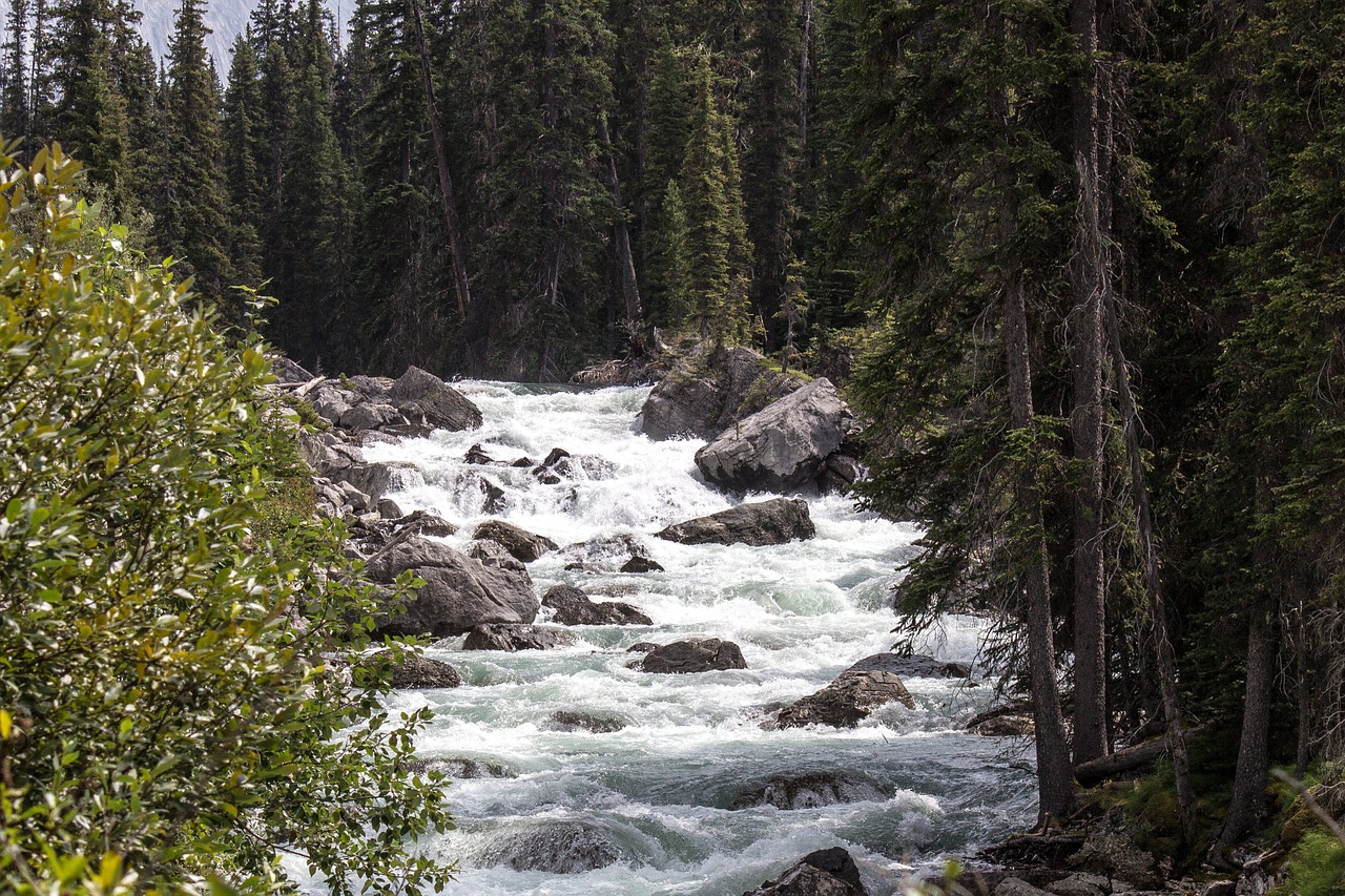 maligne river 1485060 1280