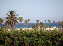 Le 6 spiagge più belle della Tunisia