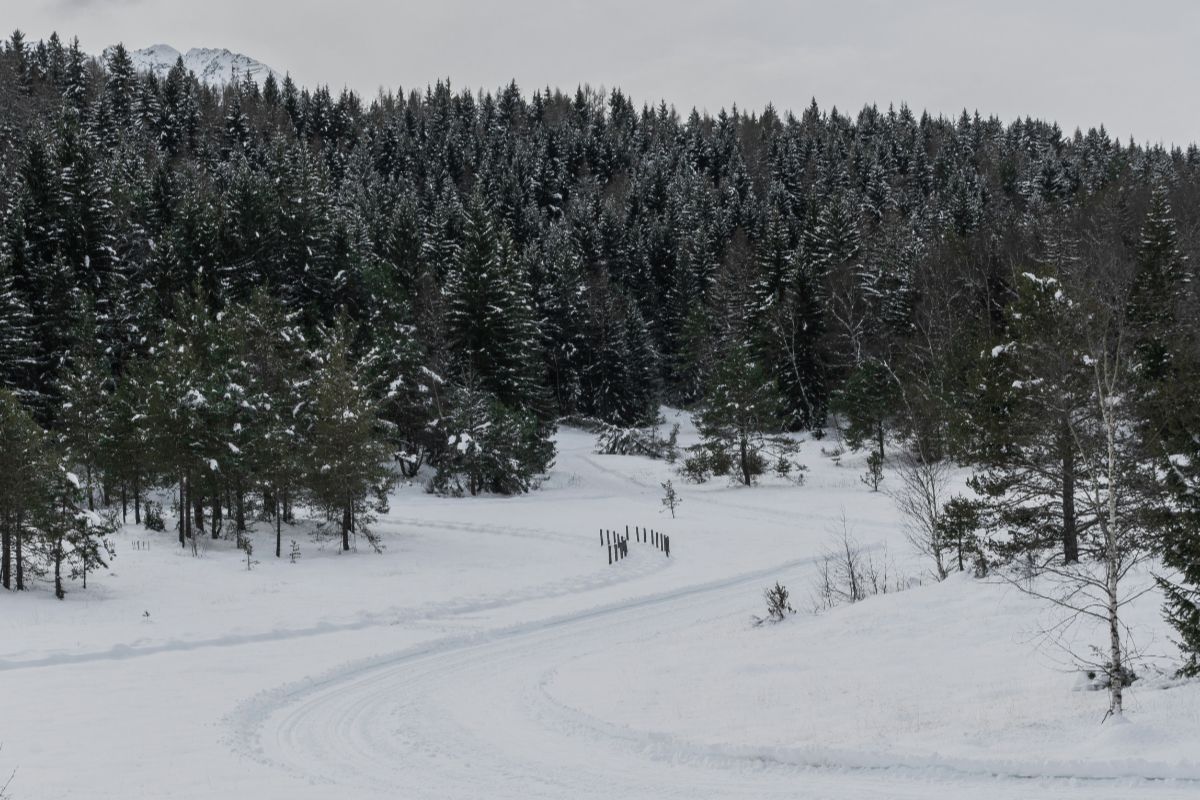 Cosa vedere ad Aprica, in montagna, in estate