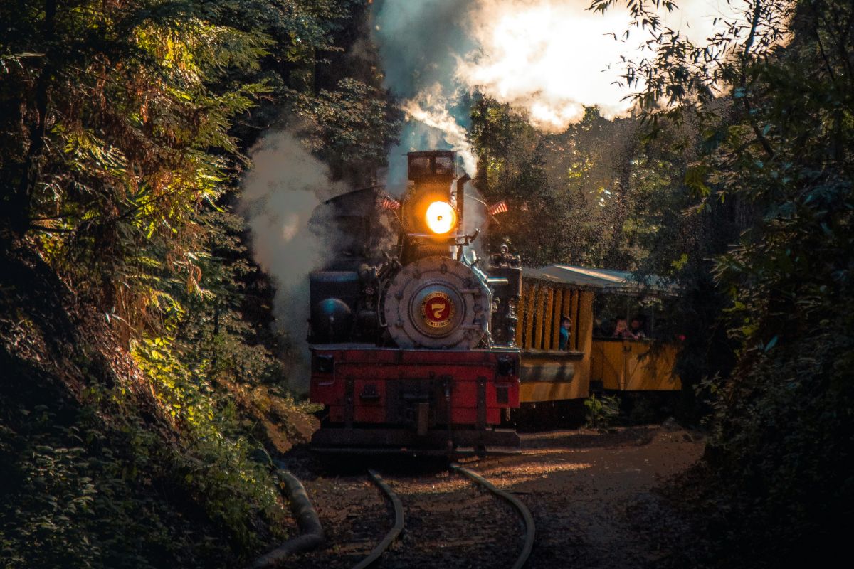 Treno El Chepe per un viaggio in Messico