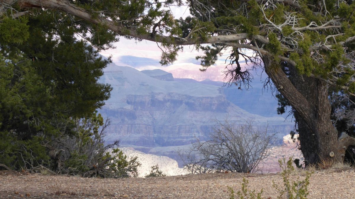 Tour in Hummer al Grand Canyon!