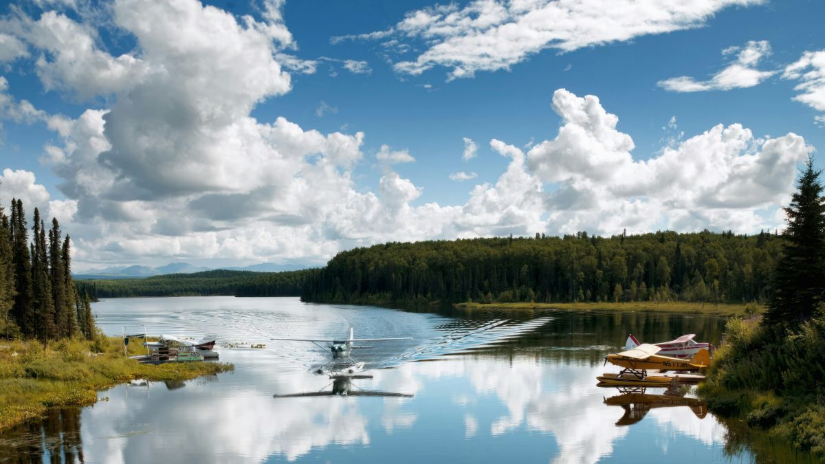 Città di Talkeetna, sindaco gatto e la torre