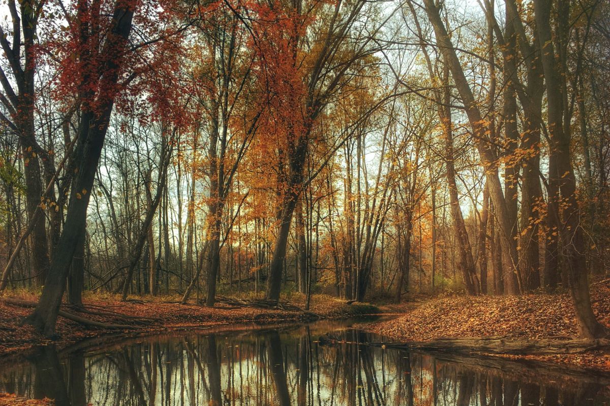 Lombardia, i posti dove vedere il foliage