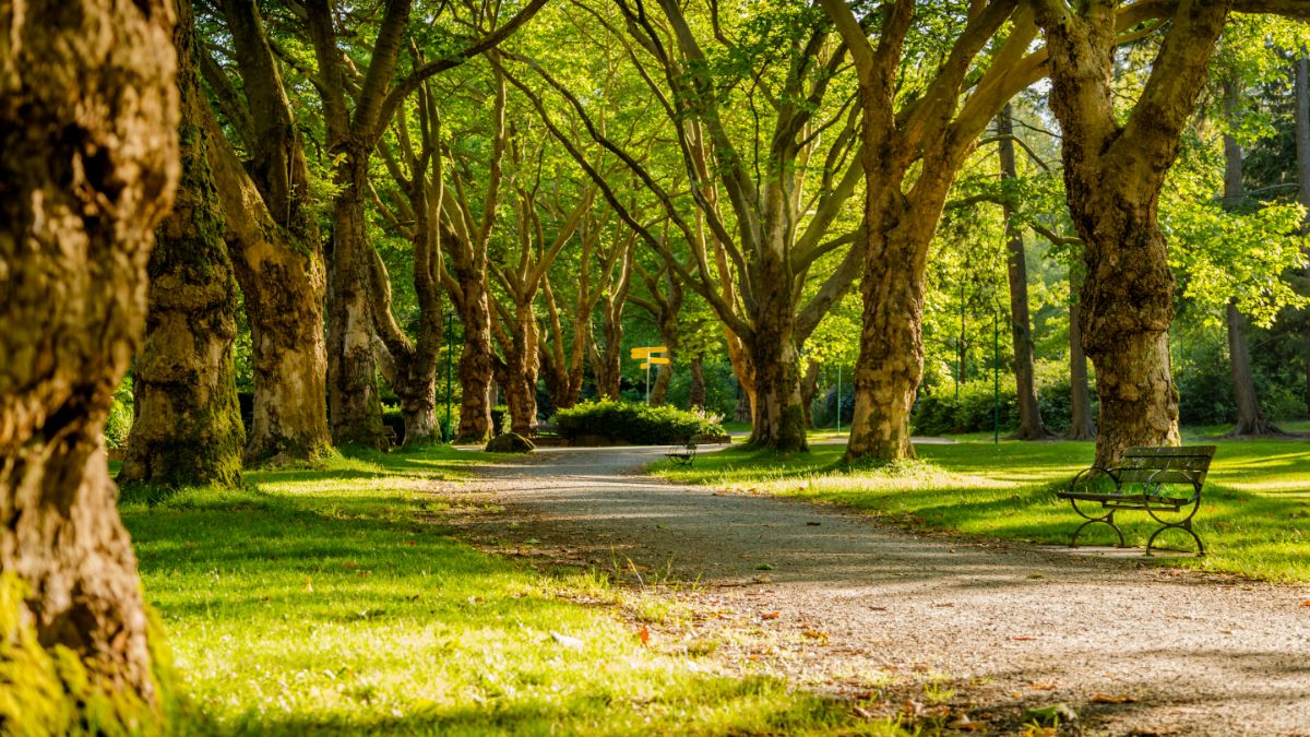 Troll al Ninigret Park a Rhode Island