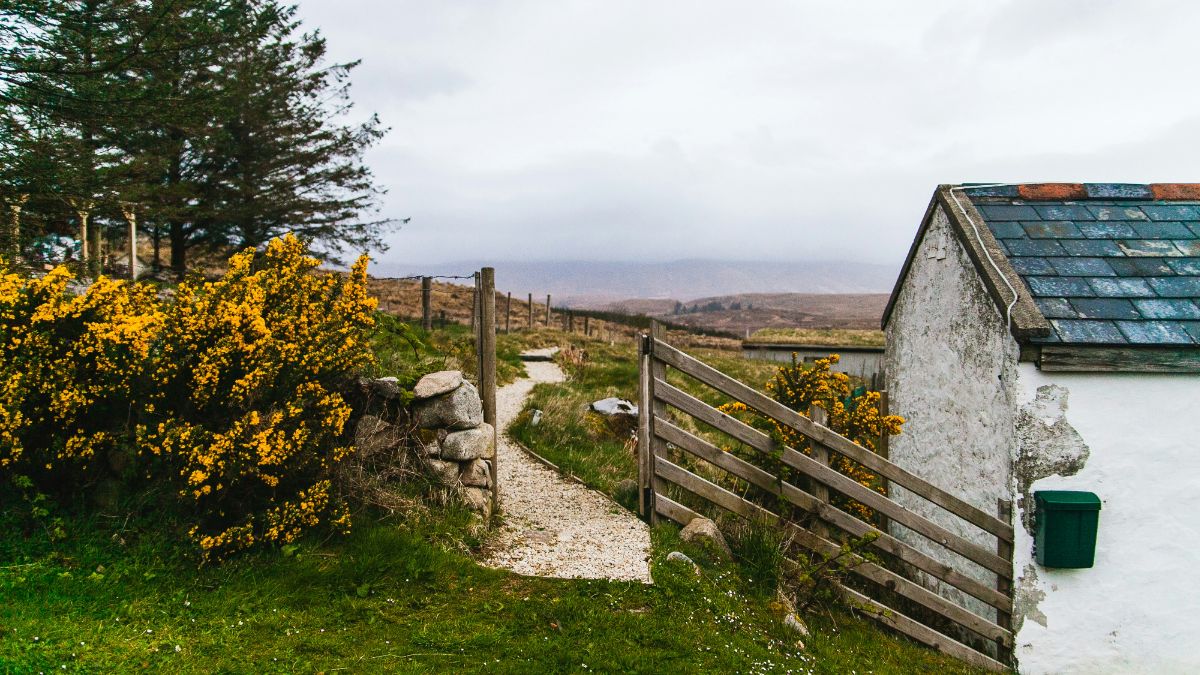 Irlanda, il cottage di conchiglie