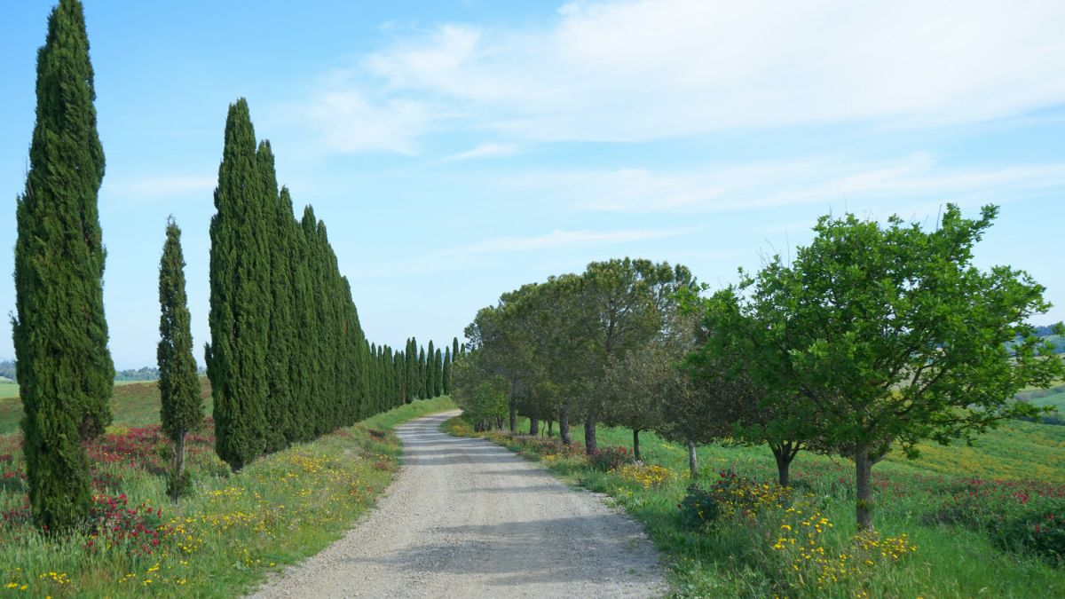 Cosa vedere a Peccioli?