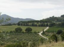 Scansano, visita il borgo toscano