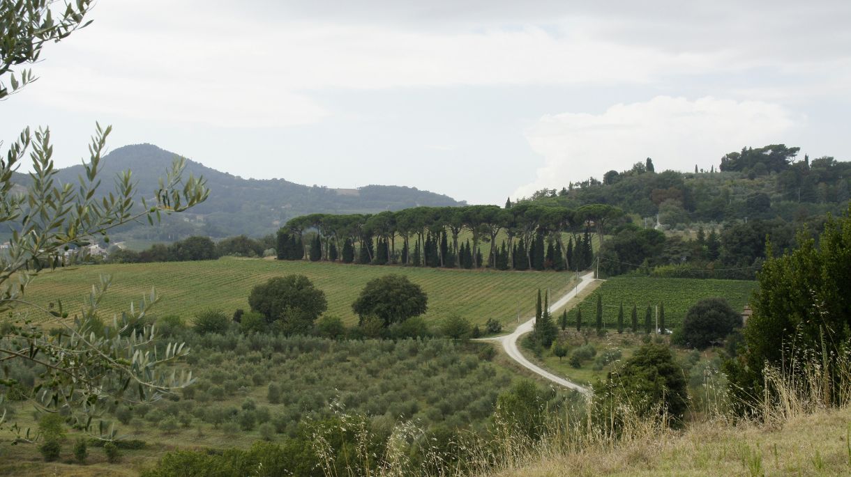 Scansano, visita il borgo toscano