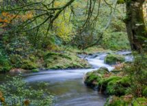 Itinerari nella Spagna verde