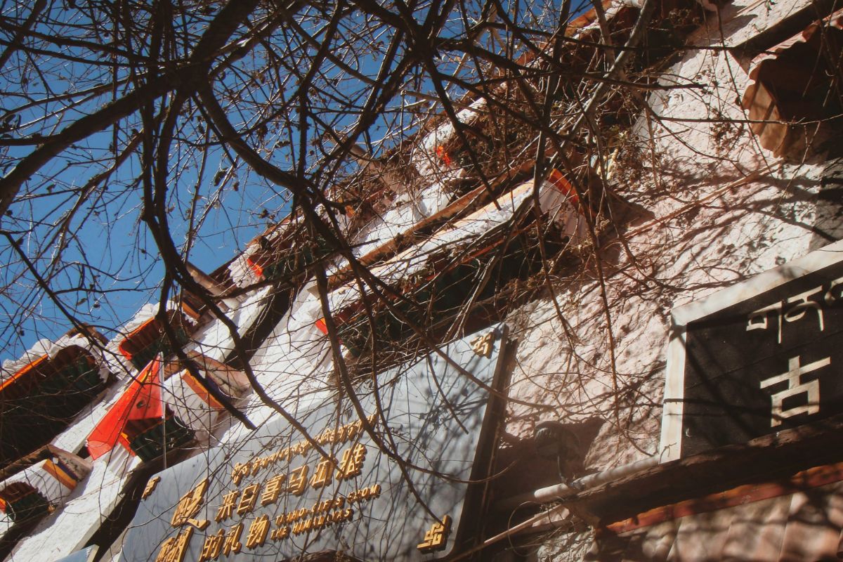 Tutto sui monasteri tibetani