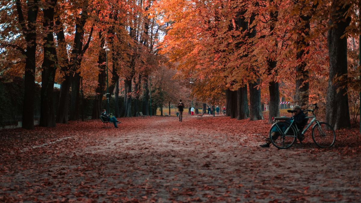 Parchi di Milano, le opere più belle