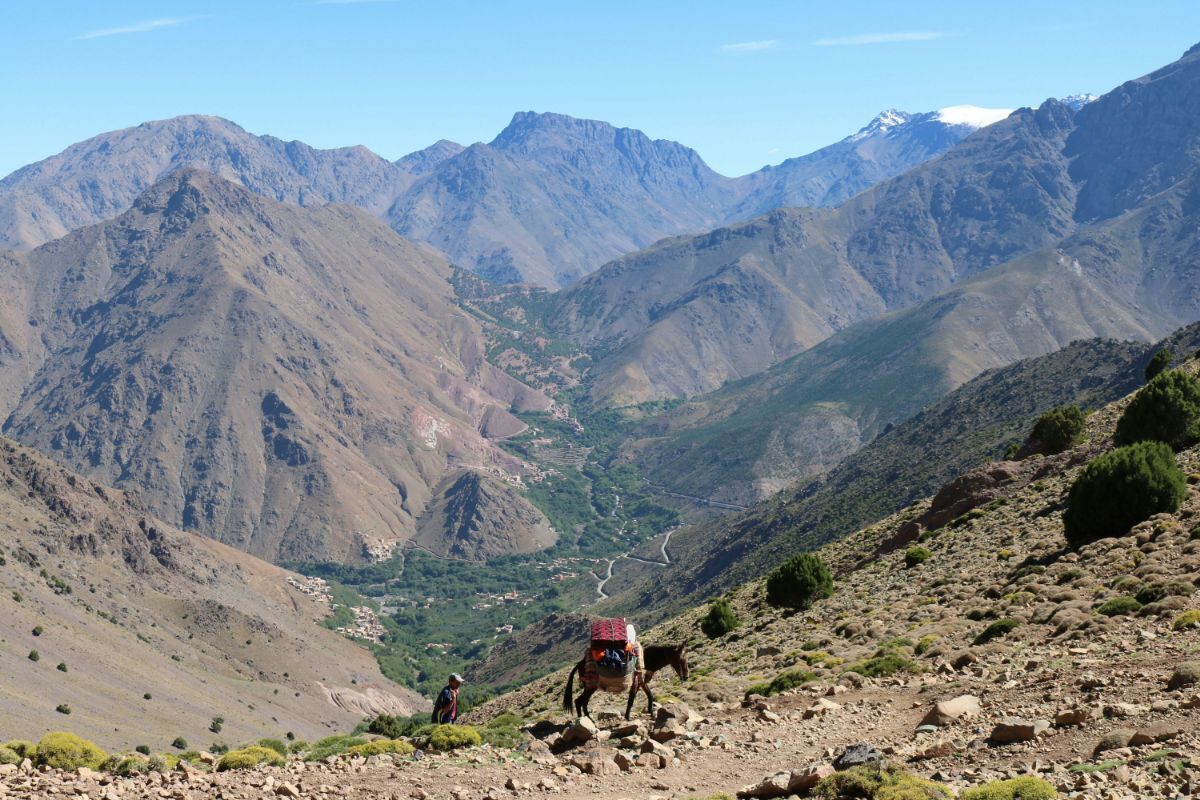 Cammino di Stevenson in Francia, trekking in asino