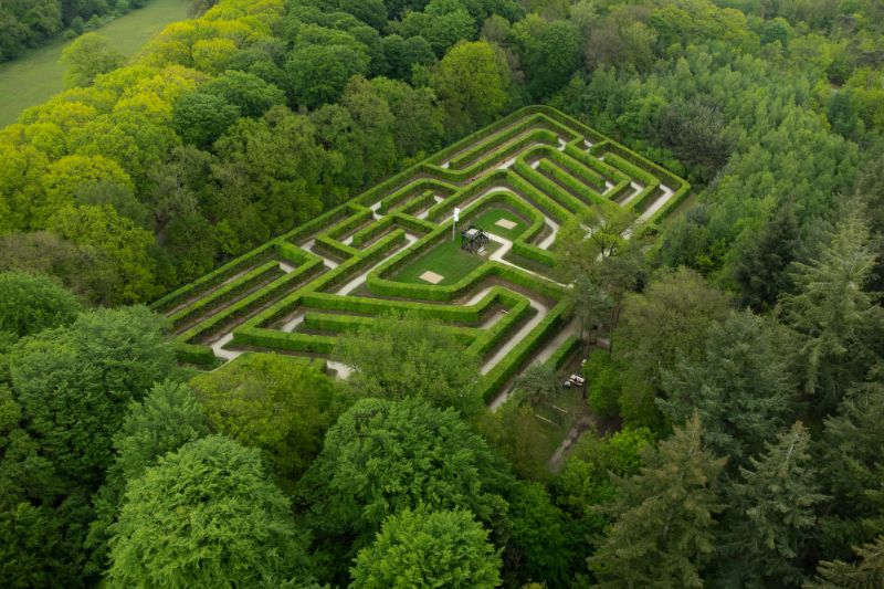 Galles, la foresta labirinto più grande