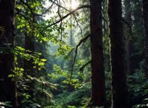 Scena iconica di Rambo in una location naturale